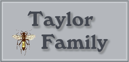 Taylor Family